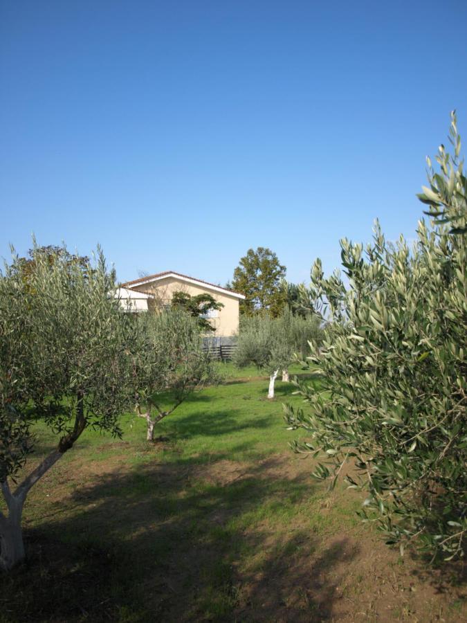 Παληοκτημα - Palioktima Apartment Neon Rysion Bagian luar foto
